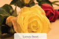 Il colore delle rose di  Lucrezia Daveri, Riccardo De  Benedetti