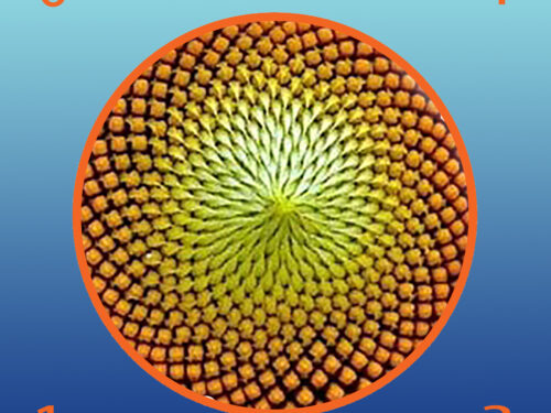 Natura e matematica:il regno vegetale e la successione di Fibonacci