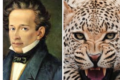 Leopardi (Giacomo e Bantù) di Lucio Sandon